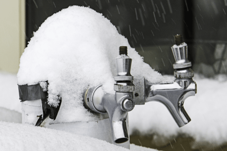 magnolia faucet snow