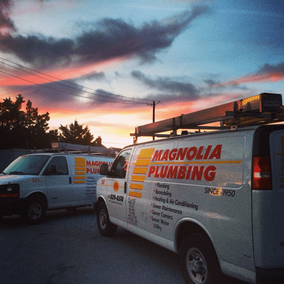 Magnolia Companies, Magnolia vans